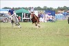 UKPA NC SAT_2618